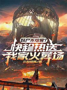 最后的十三城 最后的十三城
